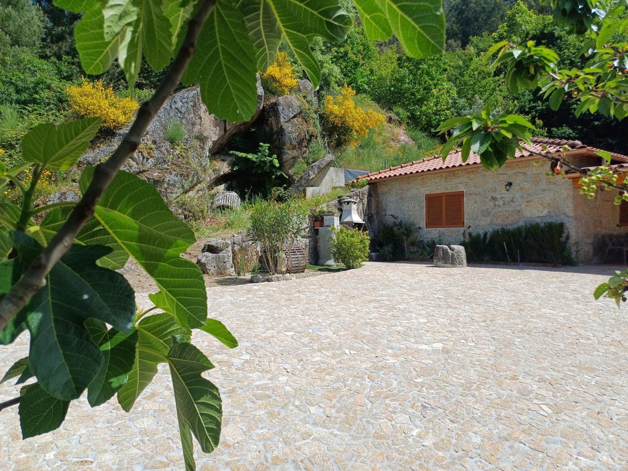فيلا Casa Da Fragoeira Gandarela de Basto المظهر الخارجي الصورة